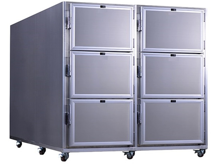 Bodies Corpse Freezer
