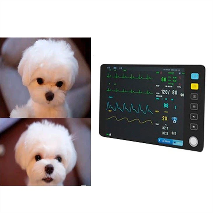 pet monitor