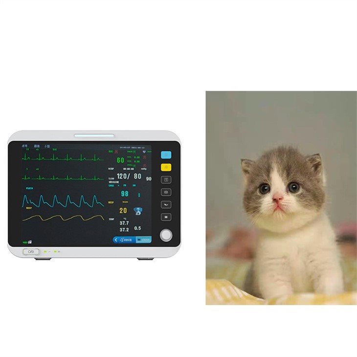 pets monitor