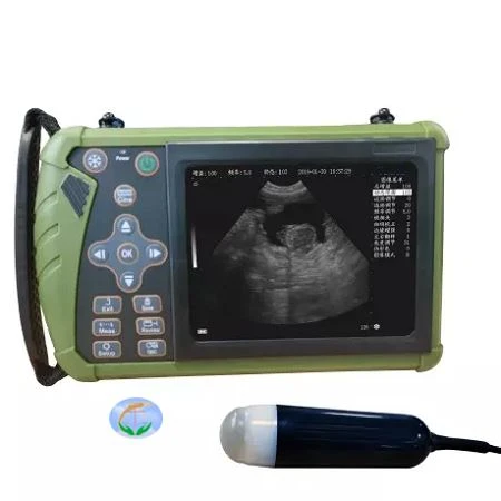 Hand-held Veterinary Ultrasound Diagnostic System Hand-held Veterinary Ultrasound Diagnostic System